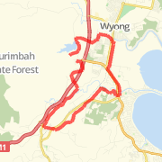 Regular Run