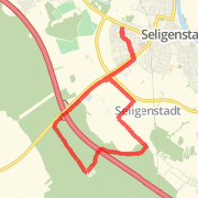 10.00 km Run in Seligenstadt on 26.02.2012 12:17