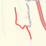 Morning Run