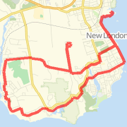 Pfizer NL Half Marathon