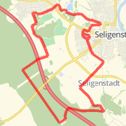 A run mapped on 29-02-12