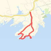 CT Run: Long Run (Mem Day 09)