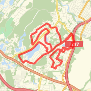 13MileRUn