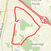 Mt Zion Run