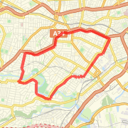 Long Road Run Leofrene Ave