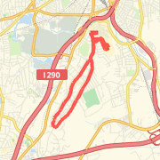 Forest Loop