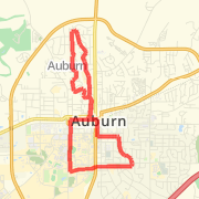 Rusty - Auburn 8 miles