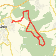 Ballon, 2x Schweinewald, im Wald, Ballon, Idstein