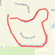 EO Short Loop 2