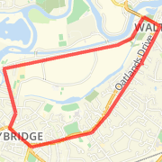 primary run