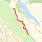 Tilden out &amp; back