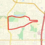 Rachael Run
