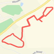 Taking Steps to prevent Alzheimer?s 5k (2 Laps)