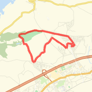 speedy tehidy